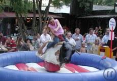 Bullriding / Rodeo Riding / Bull Riding / Bullenreiten