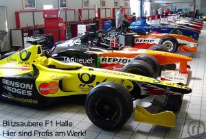 2-Selber Formel 1 Rennwagen (650 PS / 550 kg) fahren +++ F1 Rennfahrer für 1 Tag - Kurse - Gut...