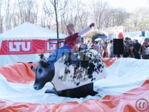 1-BULL RIDING / BULLEN REITEN / RODEO BULLE