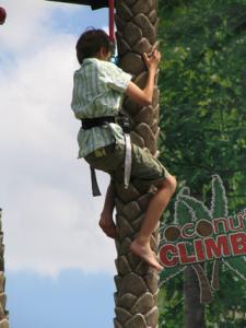 3-COCONUT CLIMBING / PALMENKLETTERN