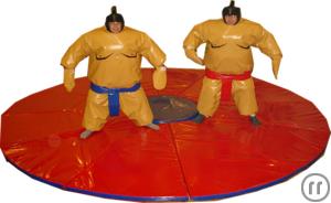2-Sumo Wrestling Set