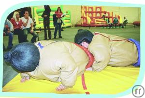 3-Sumo Wrestling Set