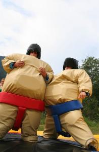 5-Sumo Wrestling Set