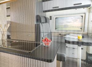 5-Reisemobil Adria SunLiving V 65 SL