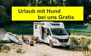 Wohnmobil t338