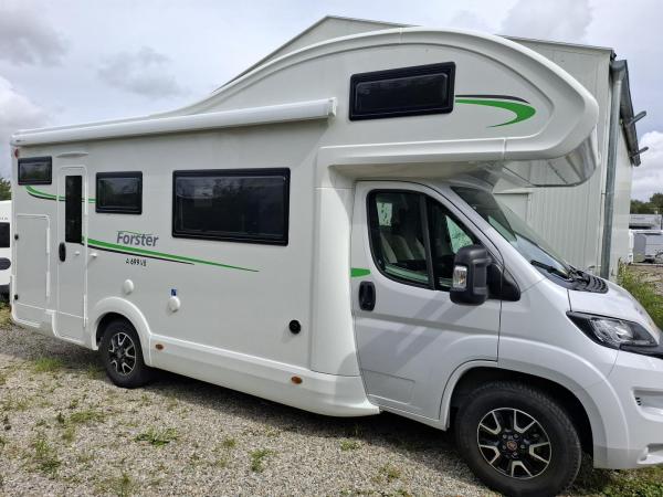 Großer Nasenbär: Forster A699VB